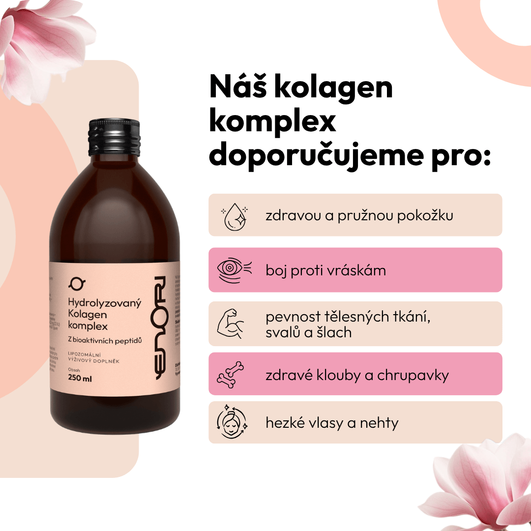 Kolagen 1 CZ